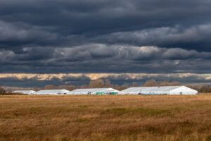 Adi TalwarA wide shot of the isolated shelter tents at Floyd Bennett Field, one of 25 to close by March.